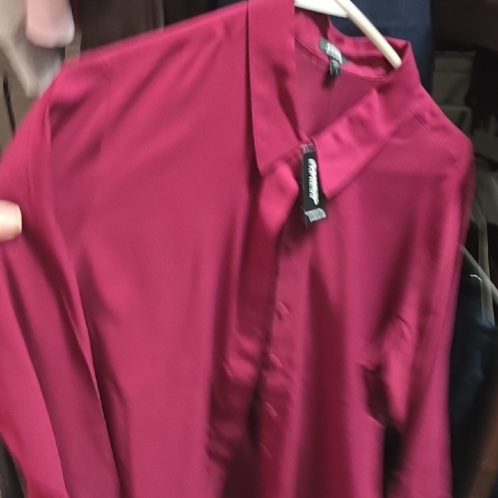 Express Women's Button-Up Dress Shirt in Deep Wine